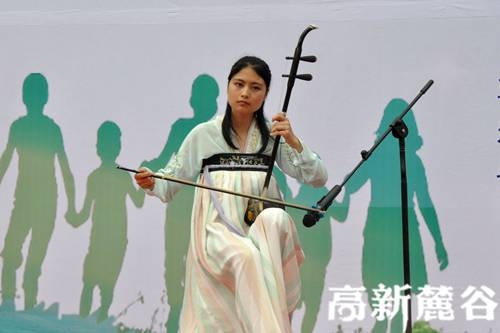 4.乐器表演《雨碎江南》让人痴迷。叶小玲 摄.JPG
